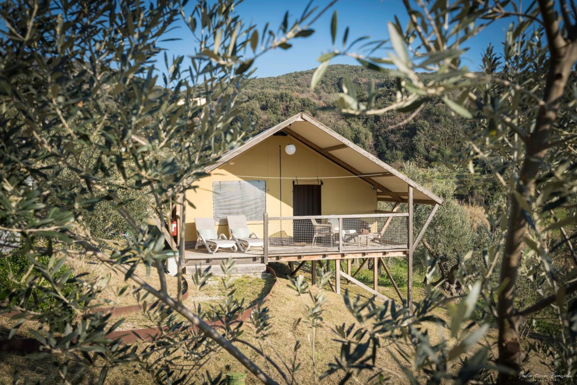 Glamping Tuscany - Podere Cortesi Santa Luce Exterior foto